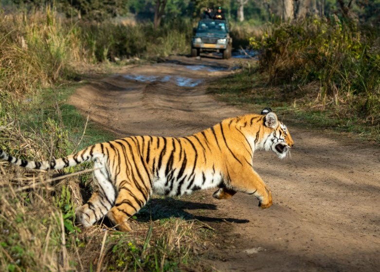 Corbett National Park, Uttarakhand